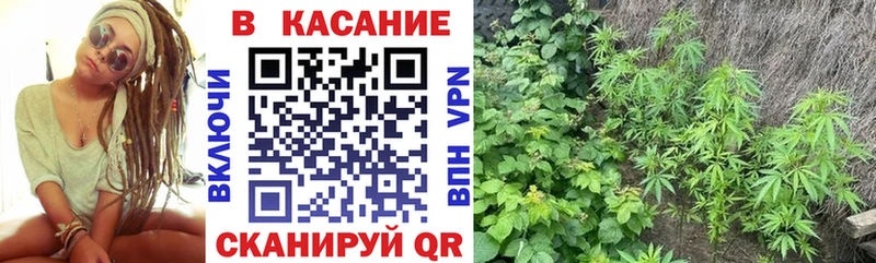 Какие есть наркотики Семёнов АМФЕТАМИН  Alpha-PVP  Меф  blacksprut   Гашиш 
