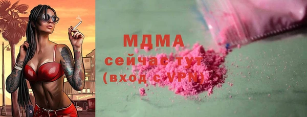 прущие грибы Верея