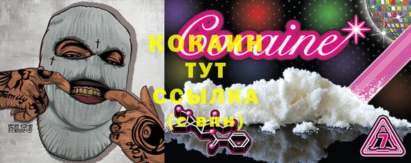 прущие грибы Верея