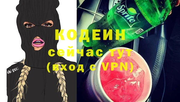 прущие грибы Верея