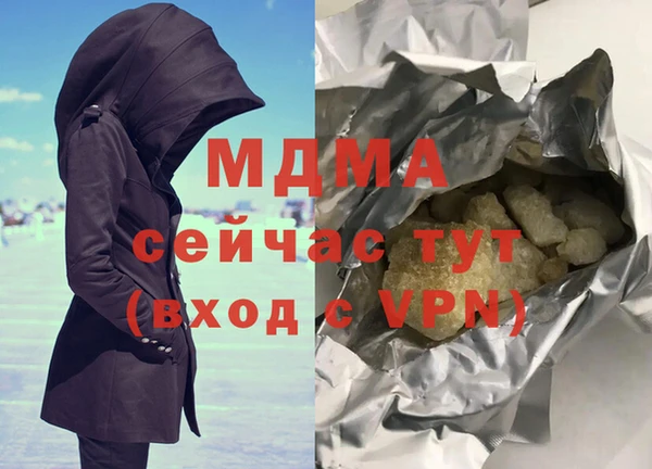 прущие грибы Верея