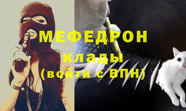 прущие грибы Верея